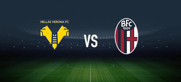 比的联系 比的联系