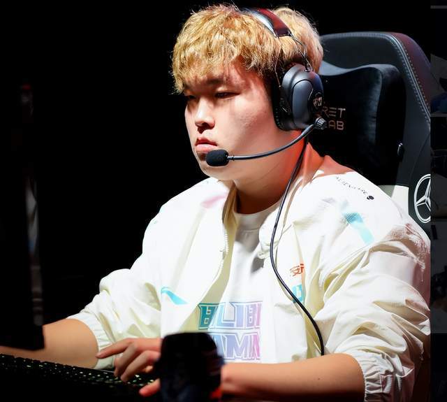 保险条款 保险条款